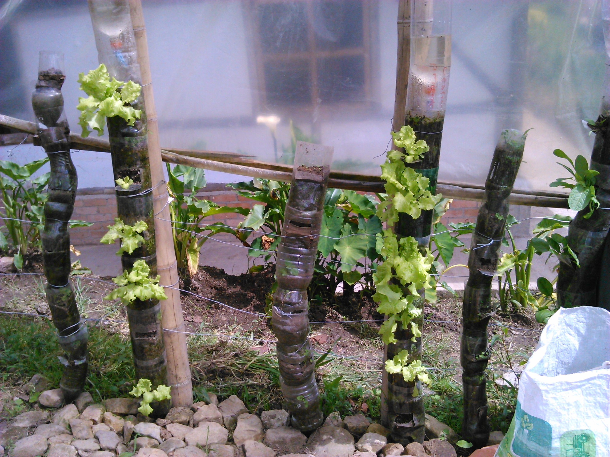 La huerta vertical